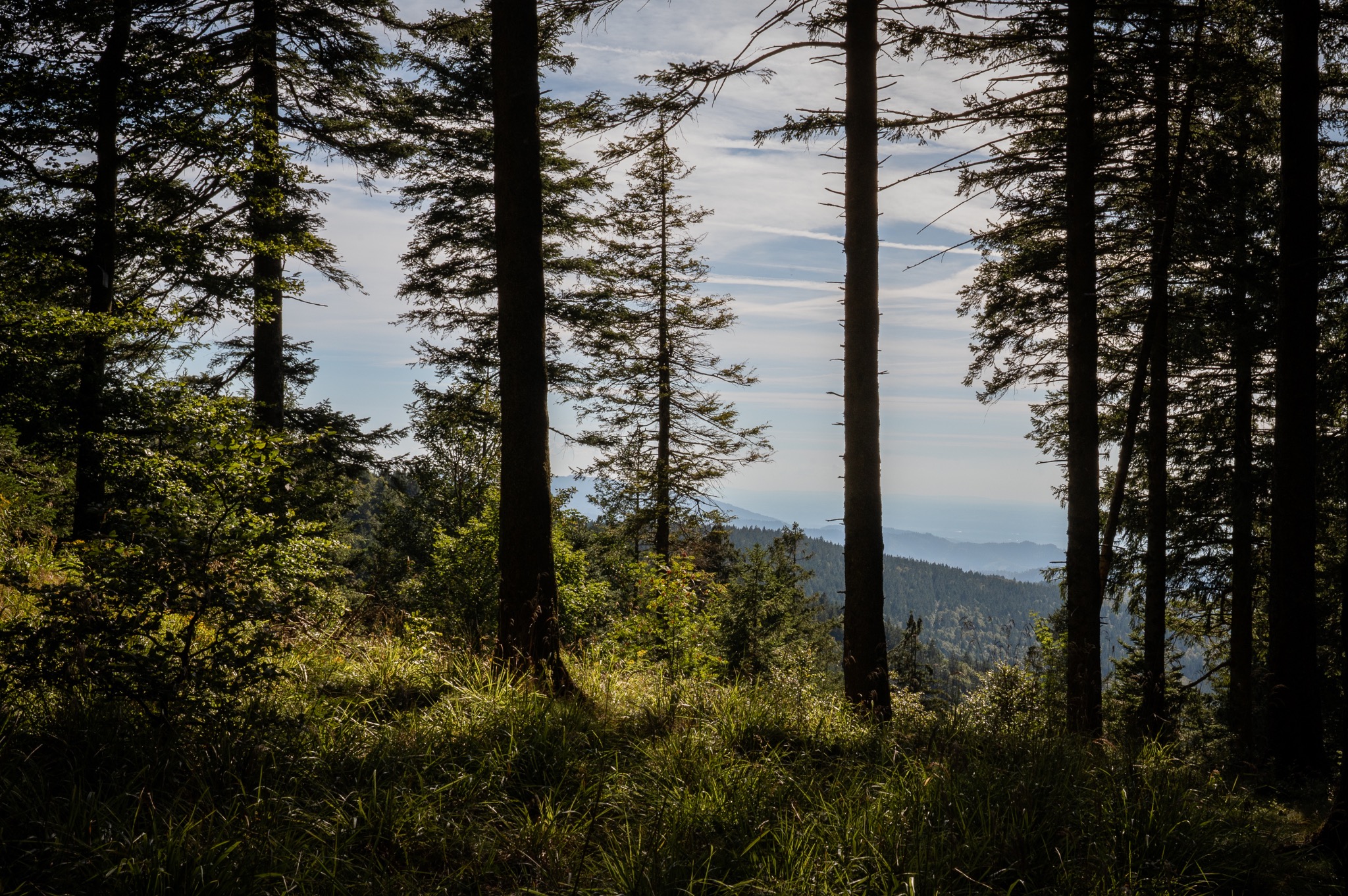Hochzeitsfotograf Schwarzwald Berghotel Schauinsland 0