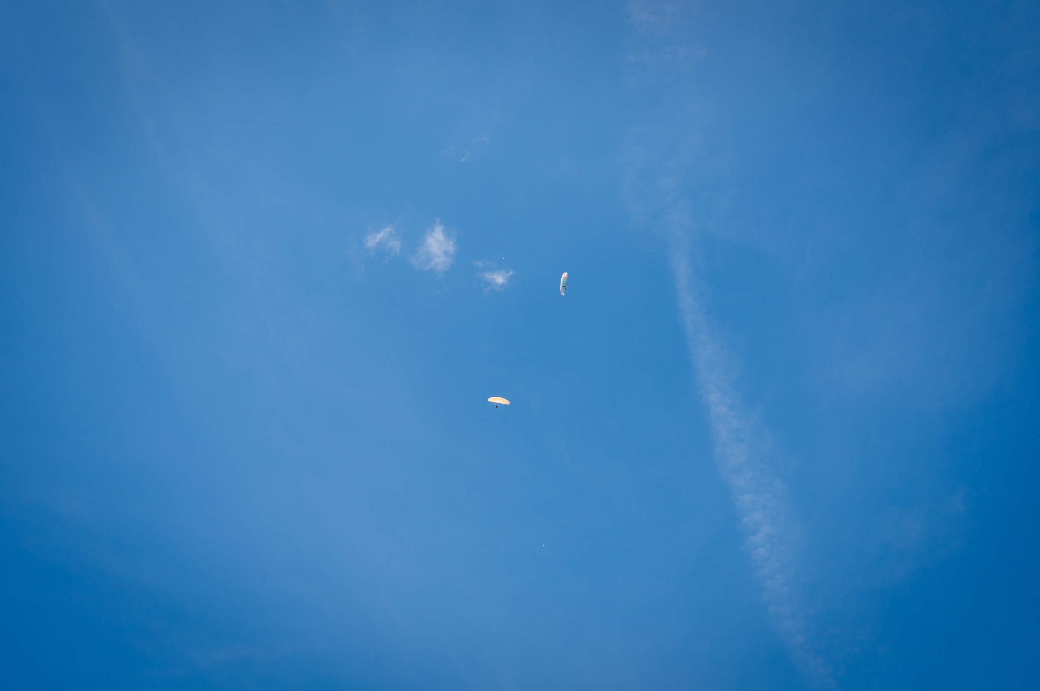 Hochzeit Schauinsland Isabela Campos Fotografie 238