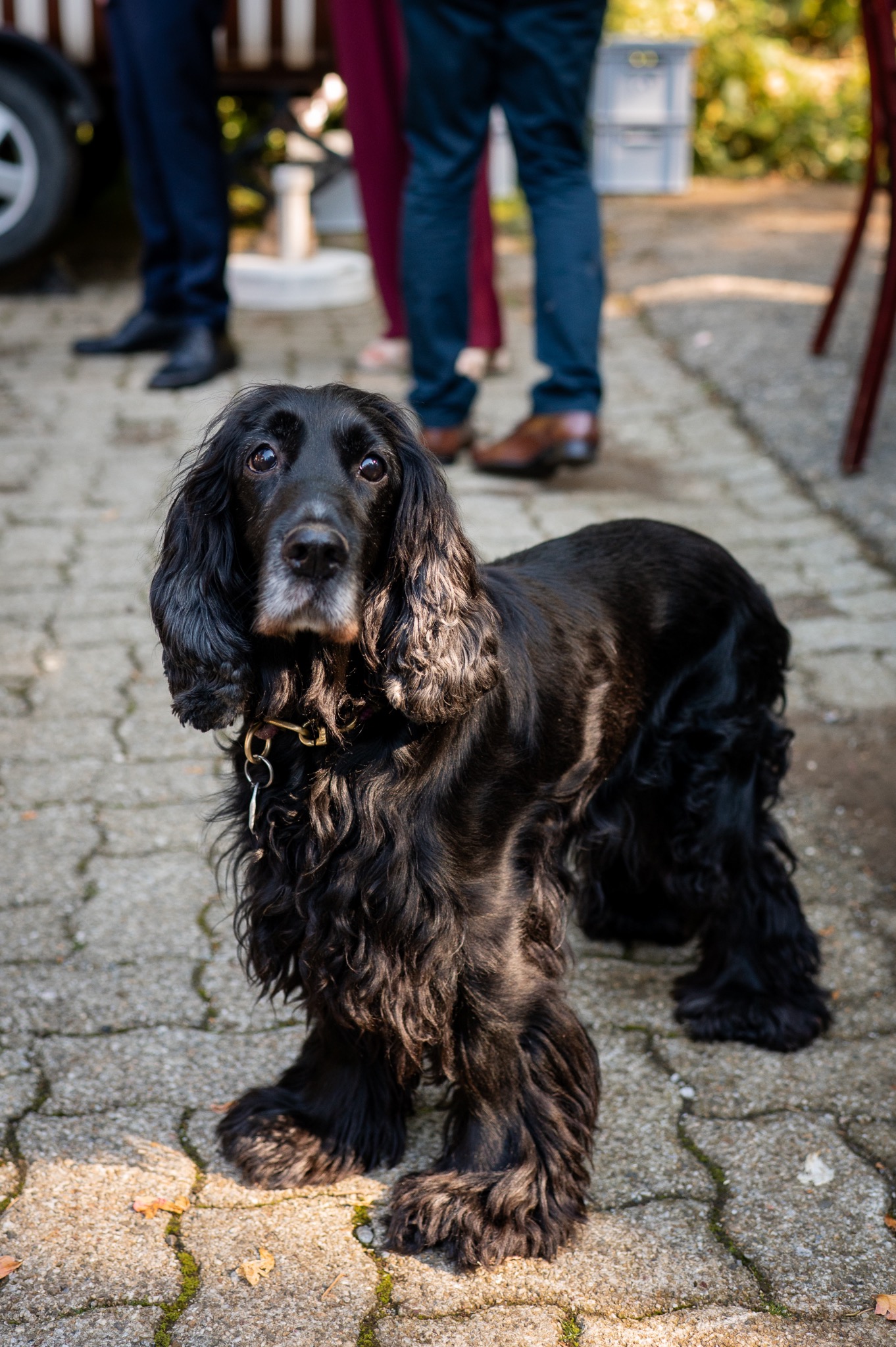 Hochzeitsfotograf Schwarzwald Berghotel Schauinsland 368