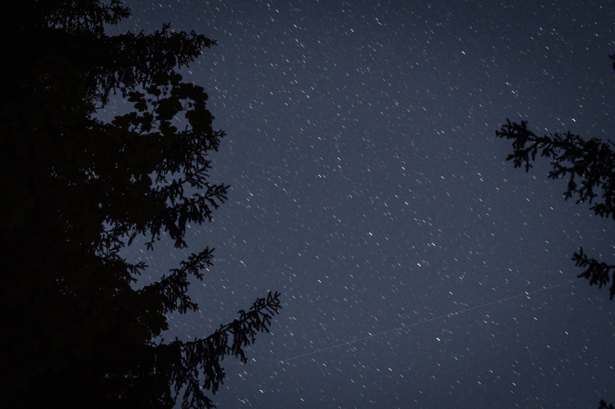 Hochzeitsfotograf Schwarzwald Berghotel Schauinsland 623