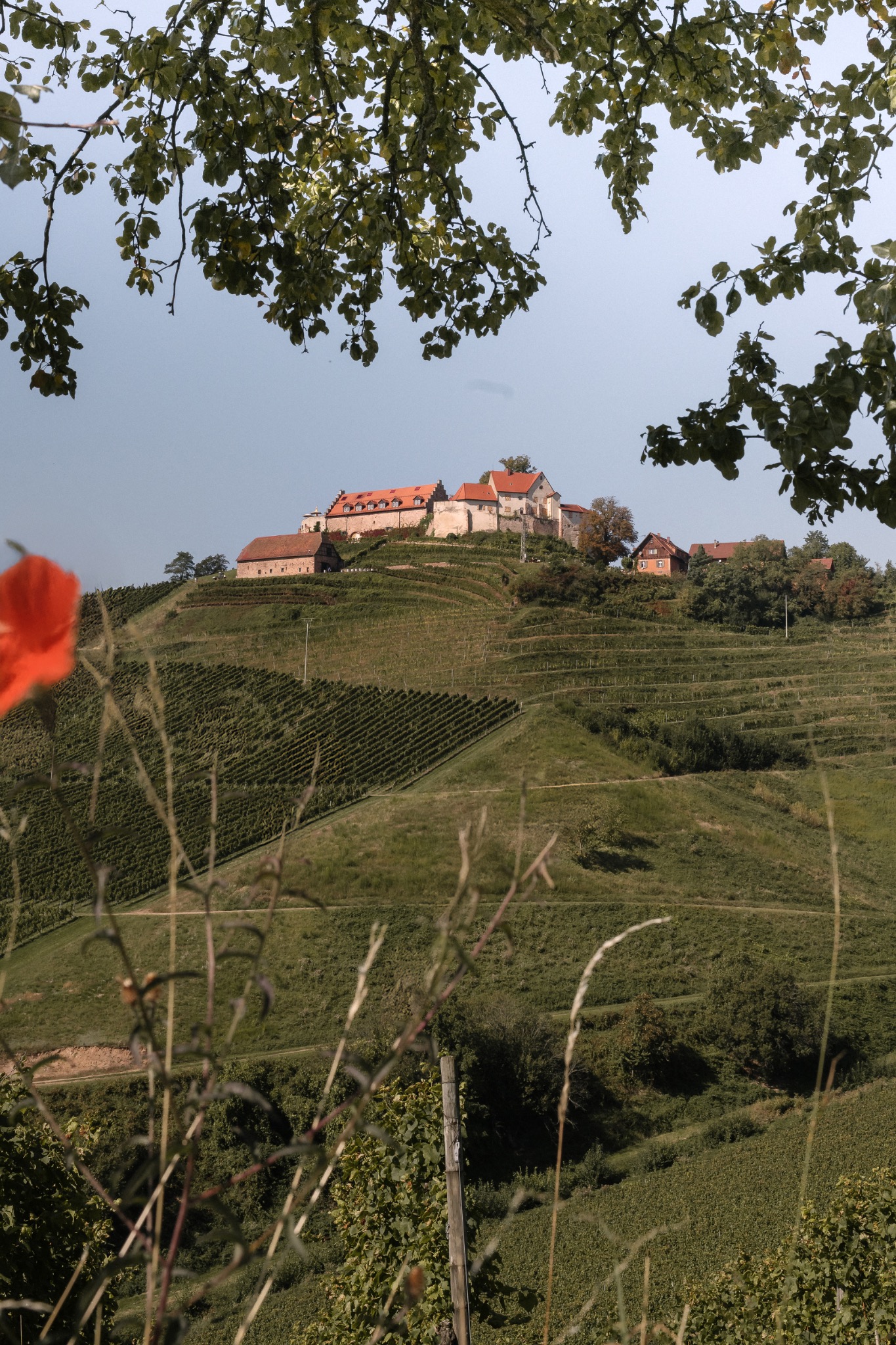 Schloss Staufenberg Ortenau – Hochzeitsfotograf Offenburg