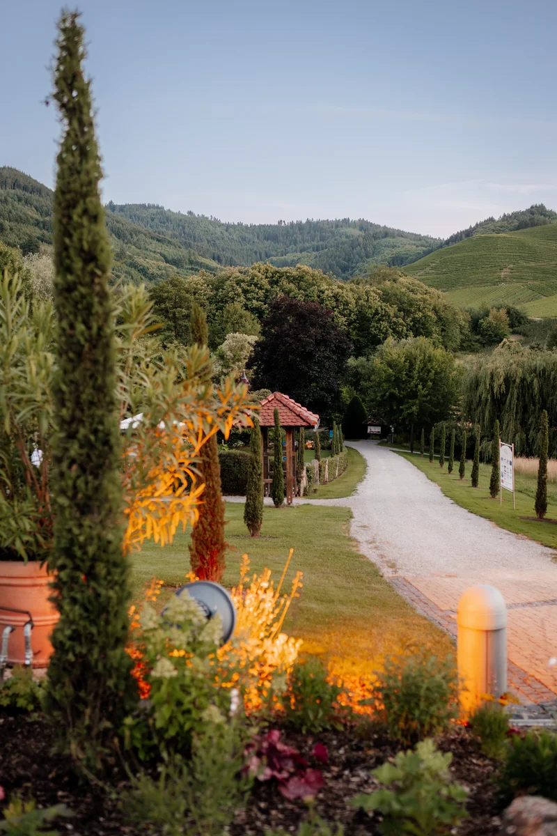 Abendstimmung in Durbach bei der Hochzeitsfeier