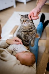 Baby Stillen mit Katzenliebe